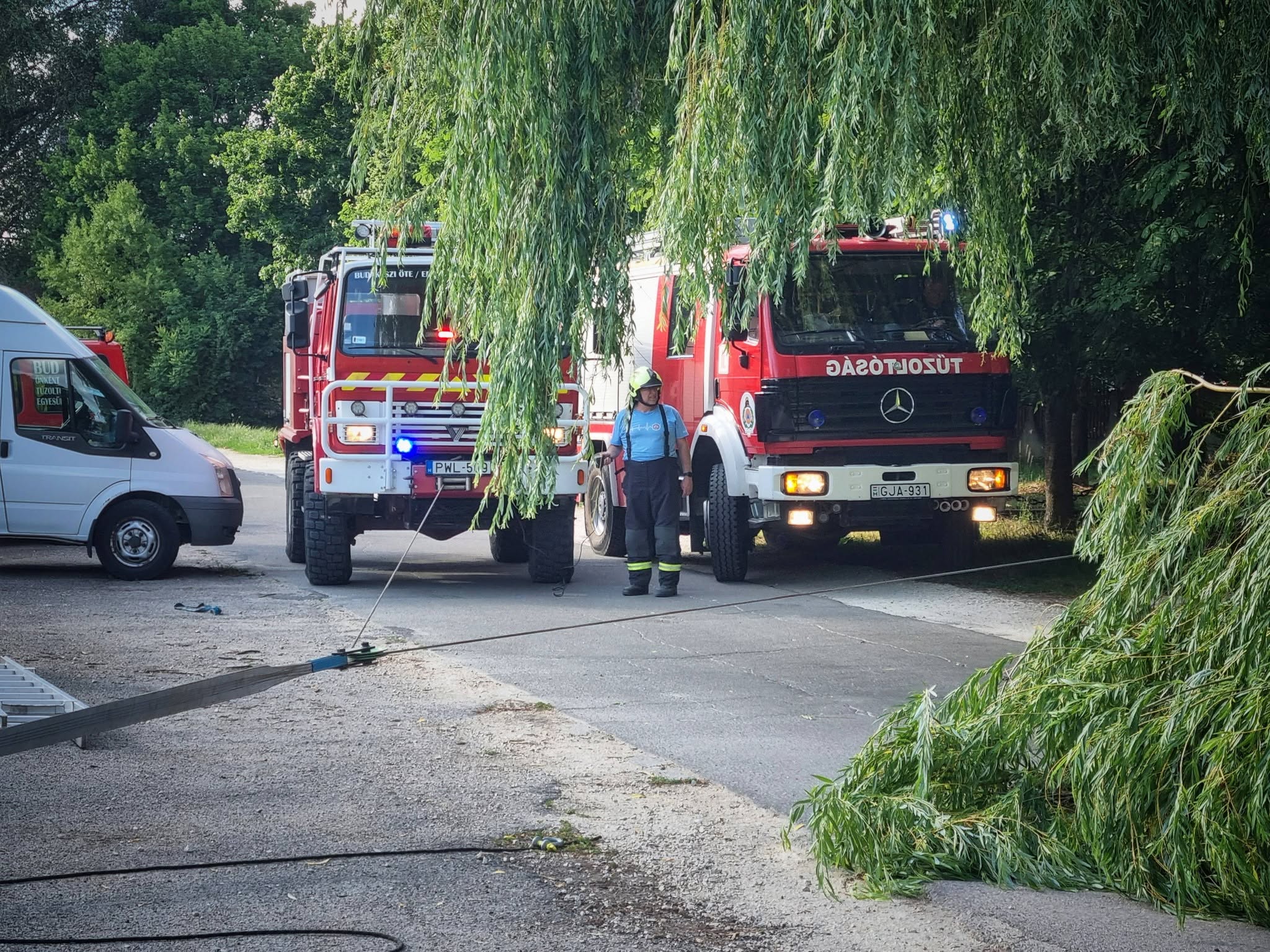 Fűzfa ága lehasadt – 2026.06.13.